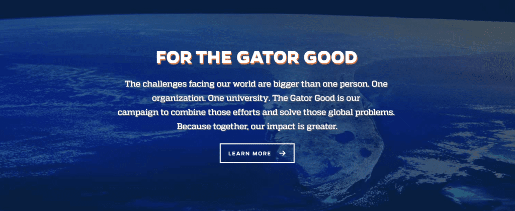 University of Florida Clarity in College Website